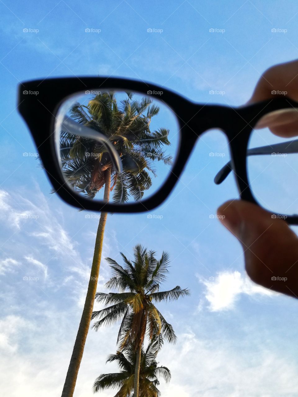 glasses, sky, blue, coconut trees, daylight, focus, neutral