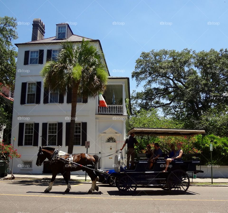 Charleston Carriage