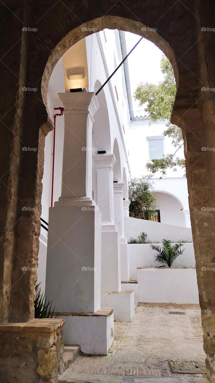 Arch and White walls, plants. Building, arquitecture