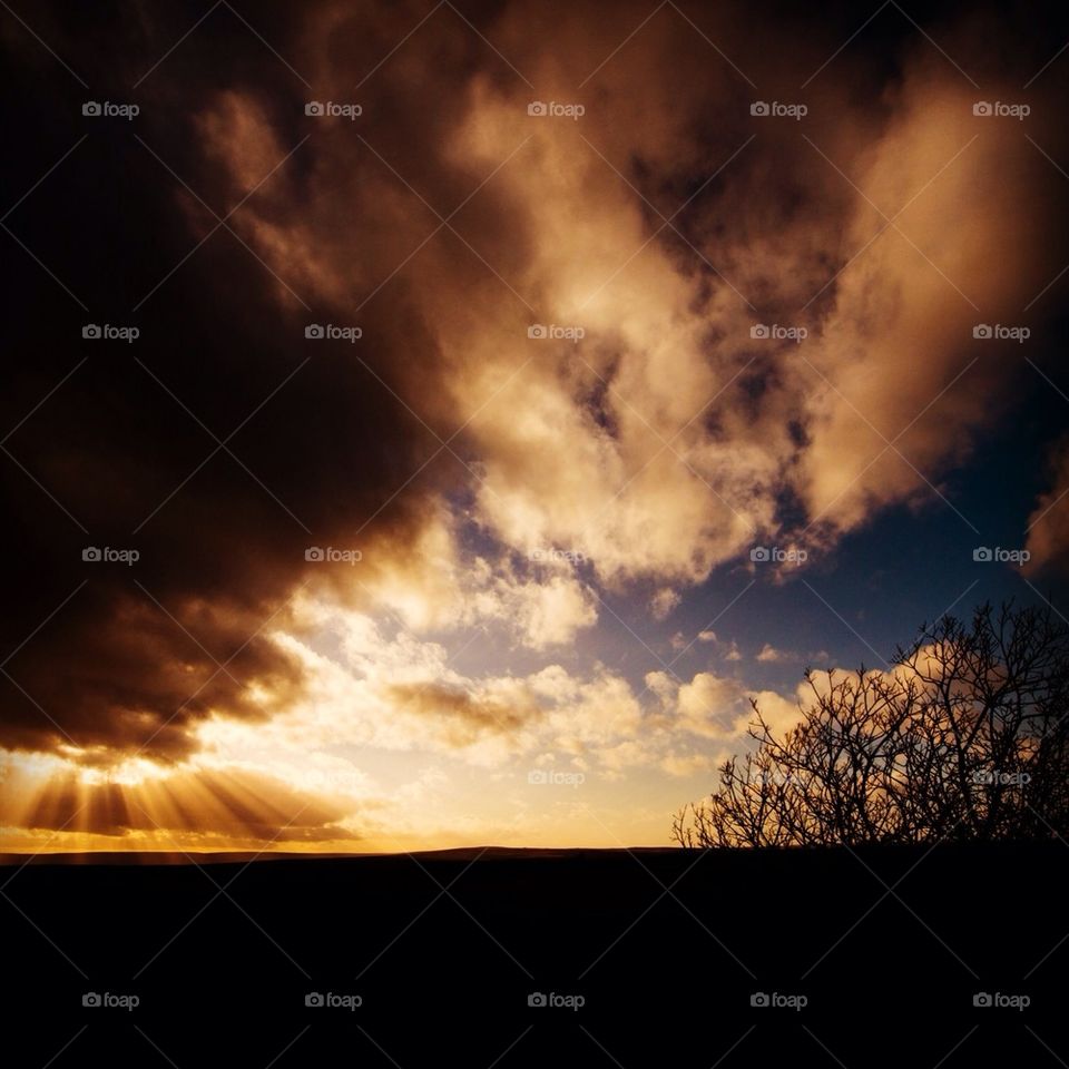 The sun bursting through a cloud frames a tree on the right of the