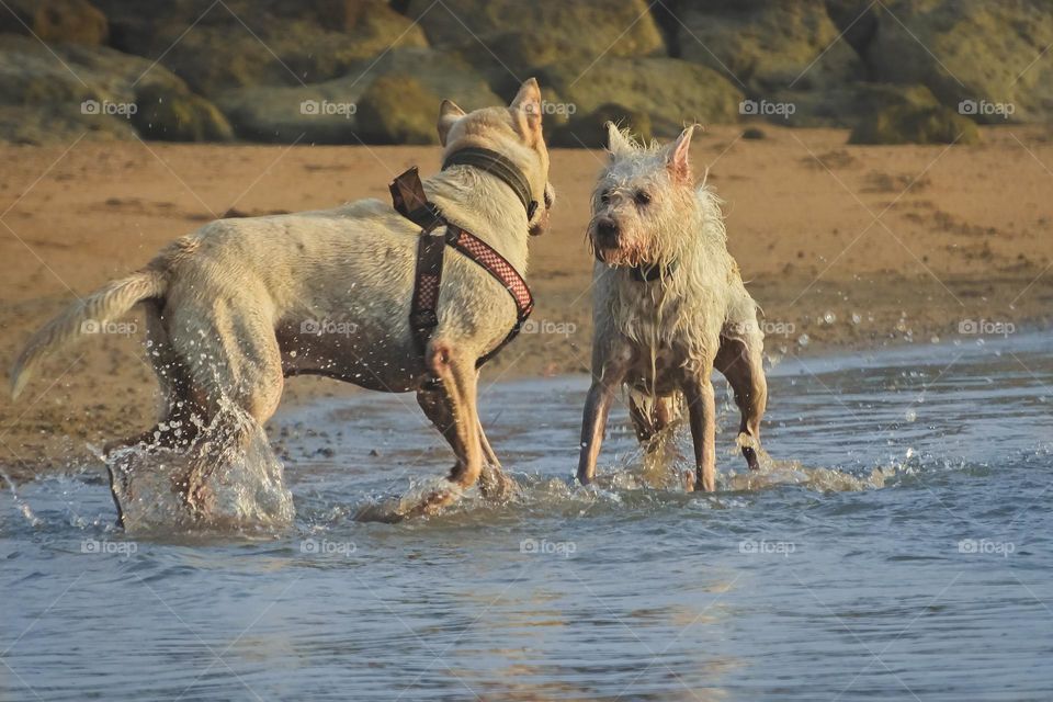 Playing time on the beach