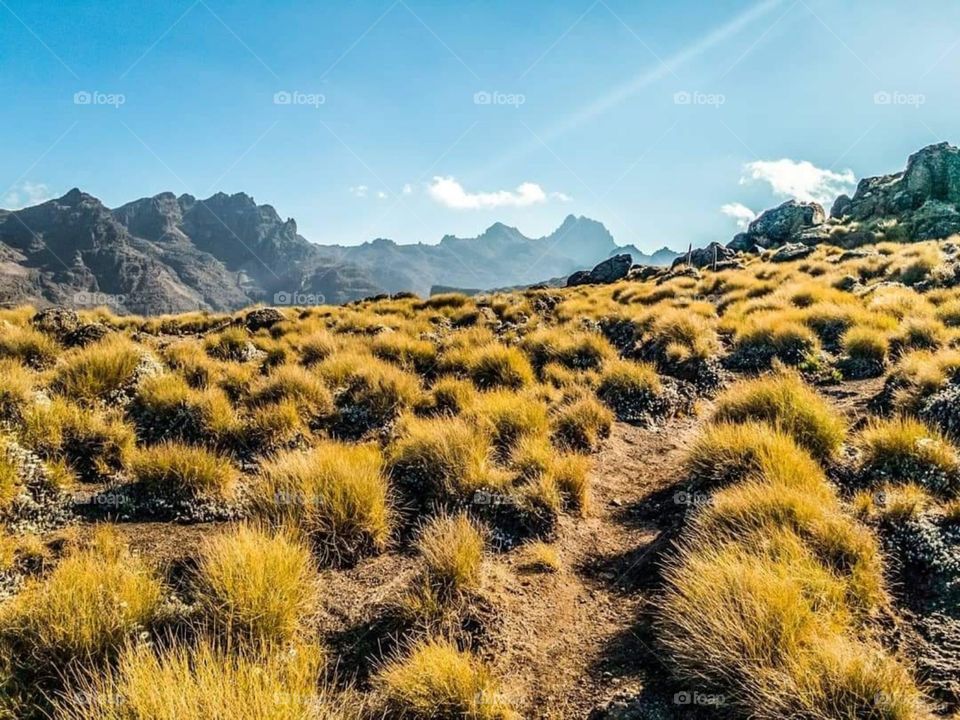At the foot of Mount Kenya