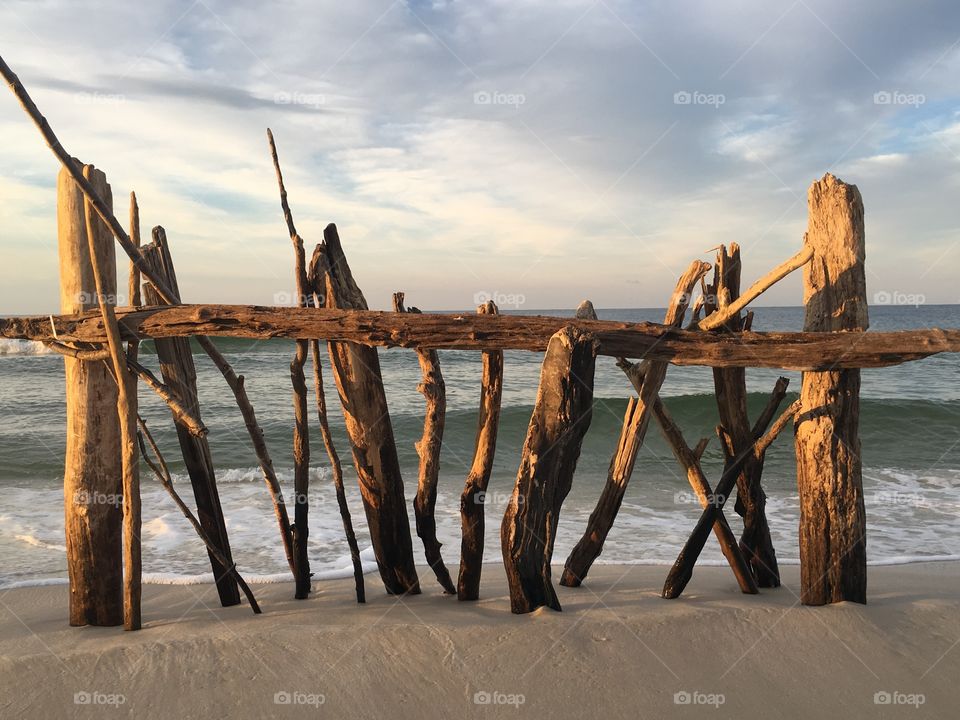 Driftwood sculpture 