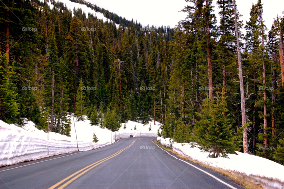 road colorado by refocusphoto