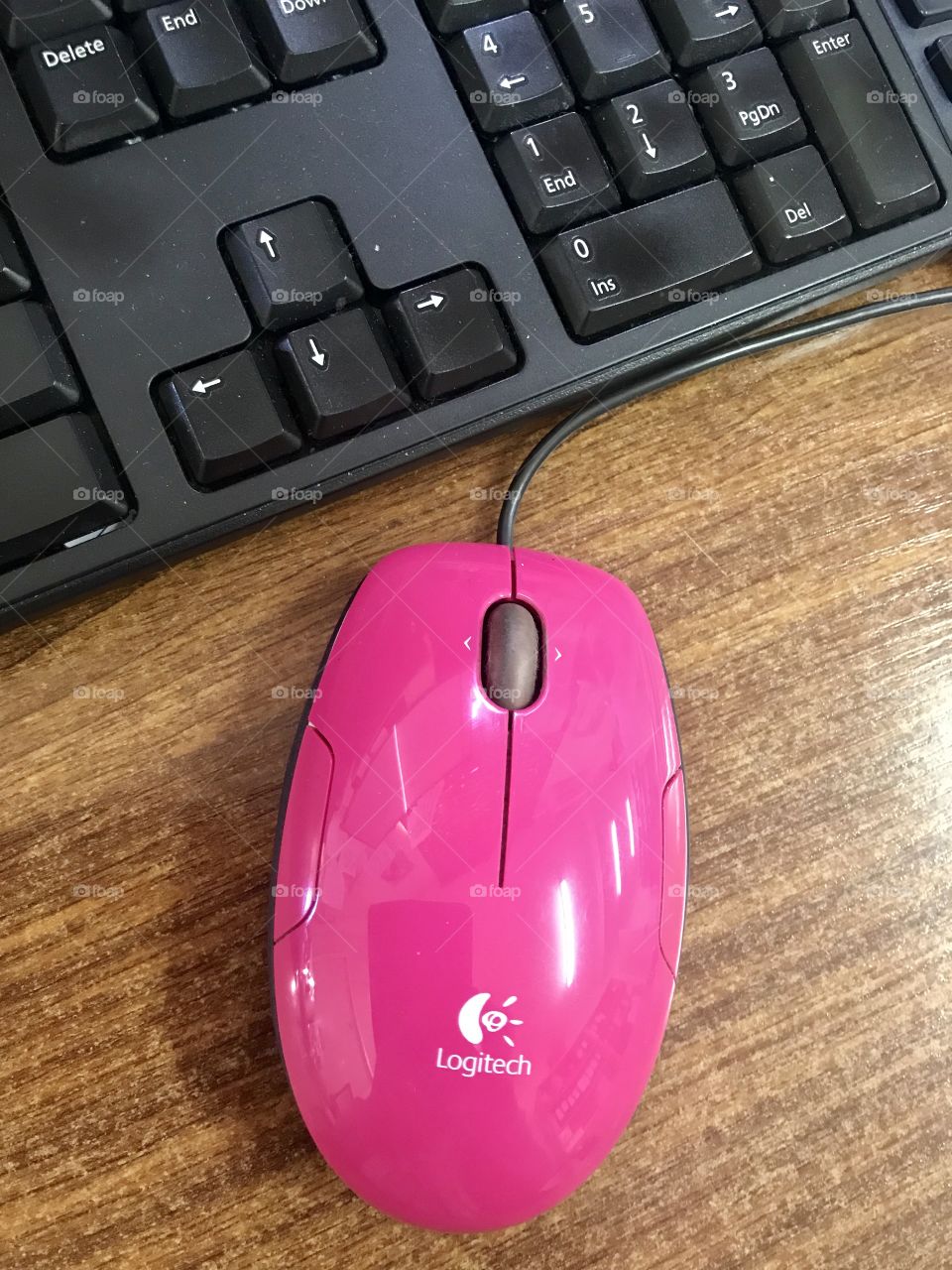 Mouse