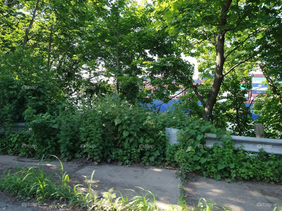 Camouflage Container ship