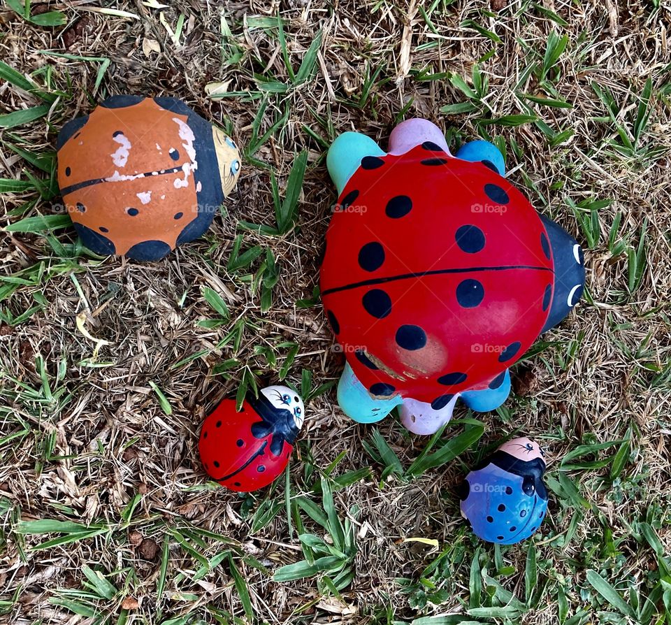 The porcelain ladybugs and their circles, in a circle, strolling through the garden.  Cheer the nature! / As joaninhas de porcelana e seus círculos, em círculo, passeando pelo jardim. Viva a natureza!