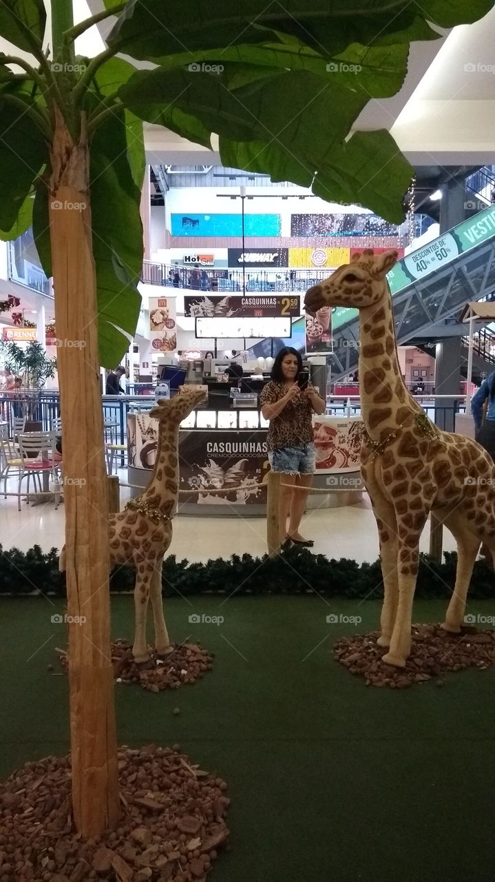 Christmas decoration