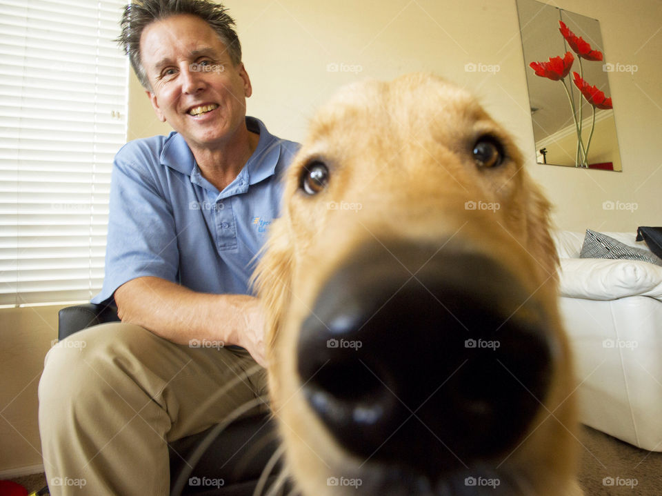 A golden retriever is curious enough to get a closer look at the
