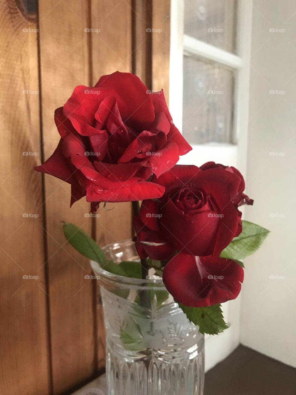 Red roses