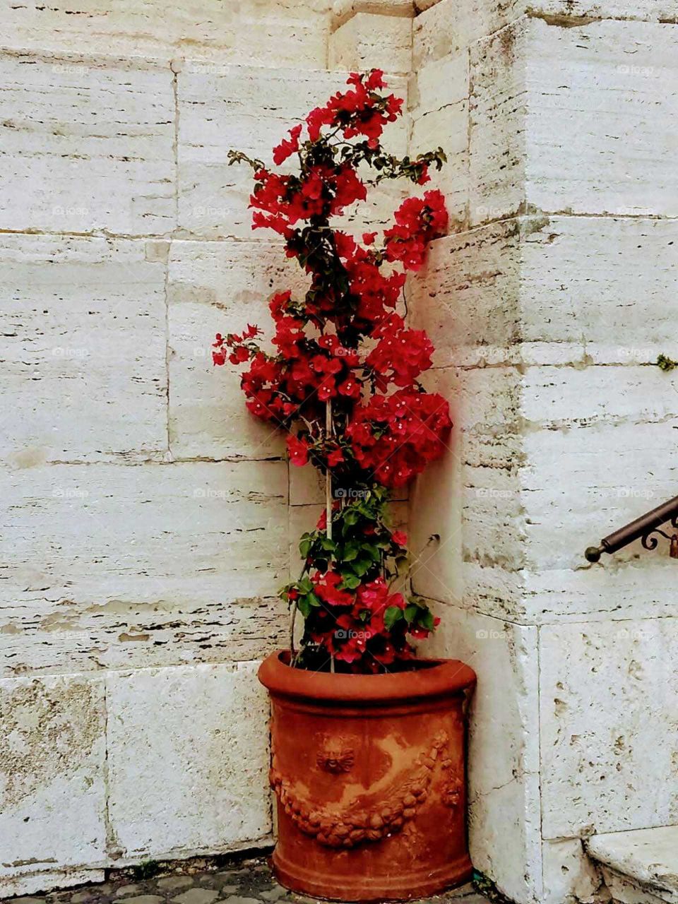 Rustic flower pot