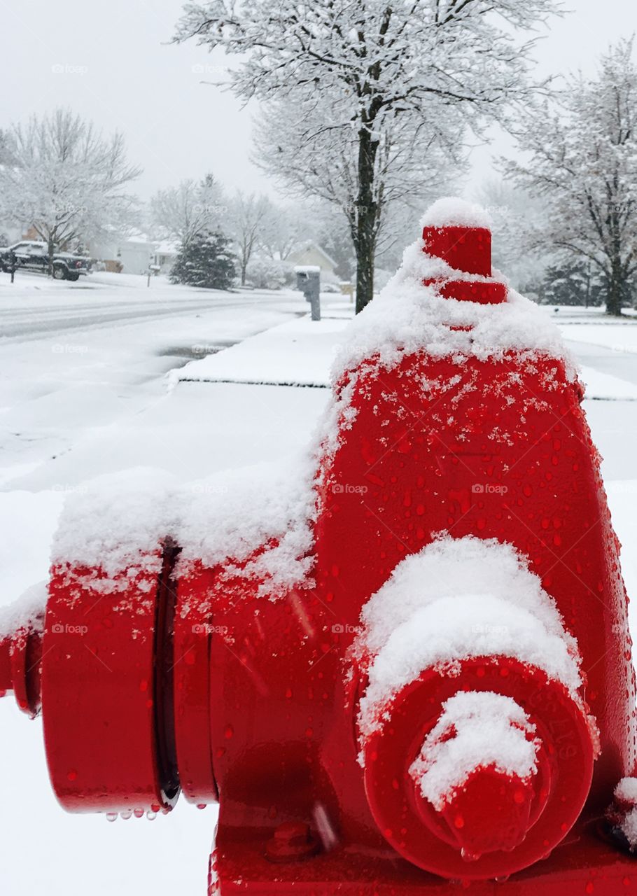 Fire Hydrant in the snow