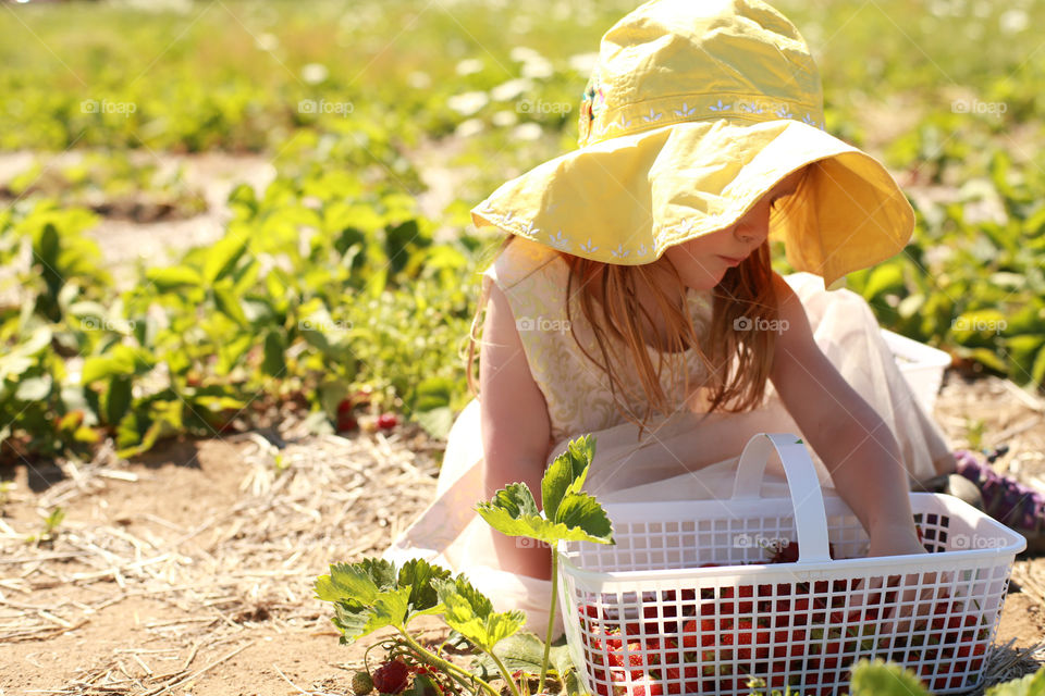 Girl with freshly picked strawberries in basket