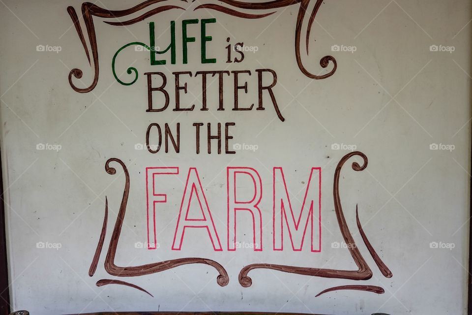 Life is better in the farm