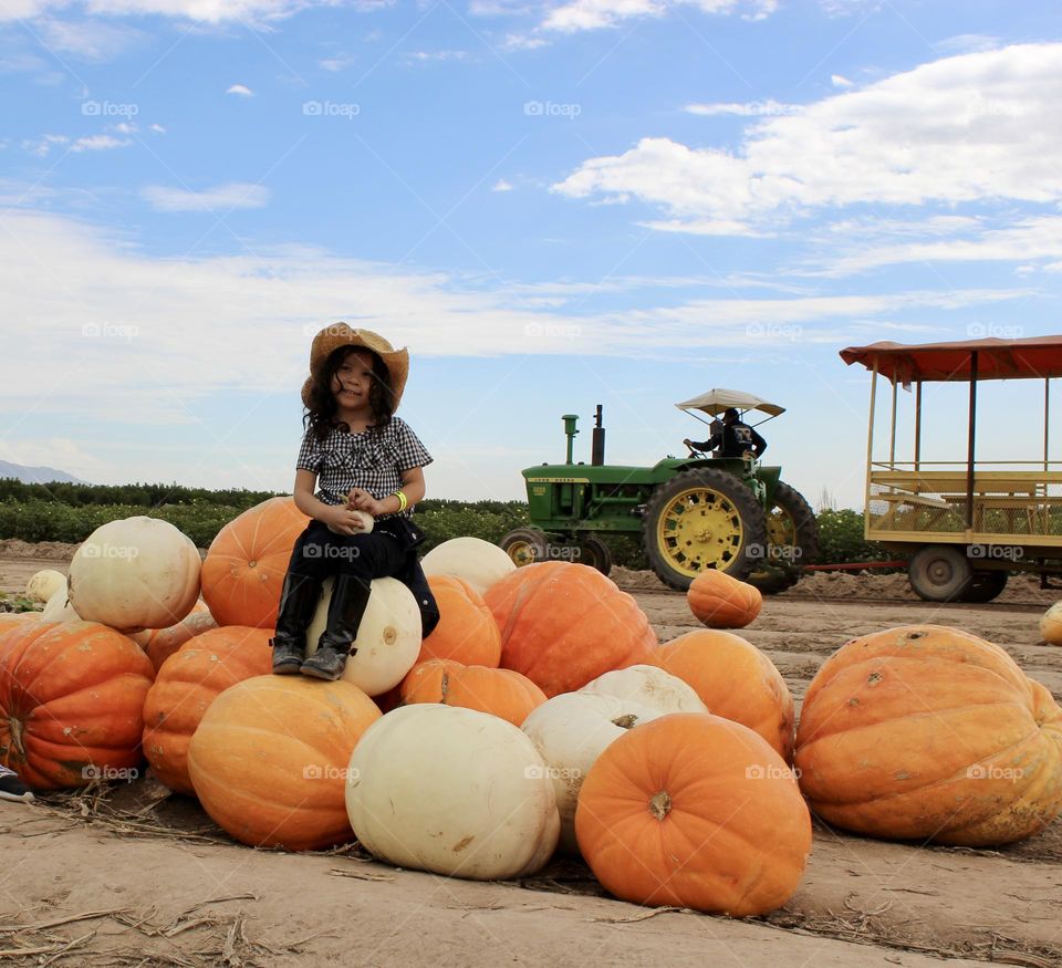 Pumpkin Patch La Union NM 