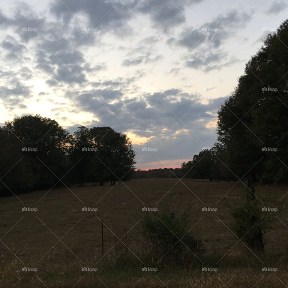 Sunset pastoral