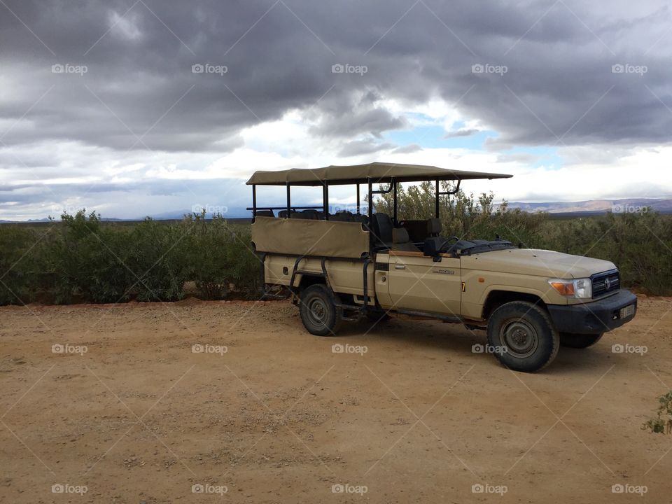 Safari in South Africa