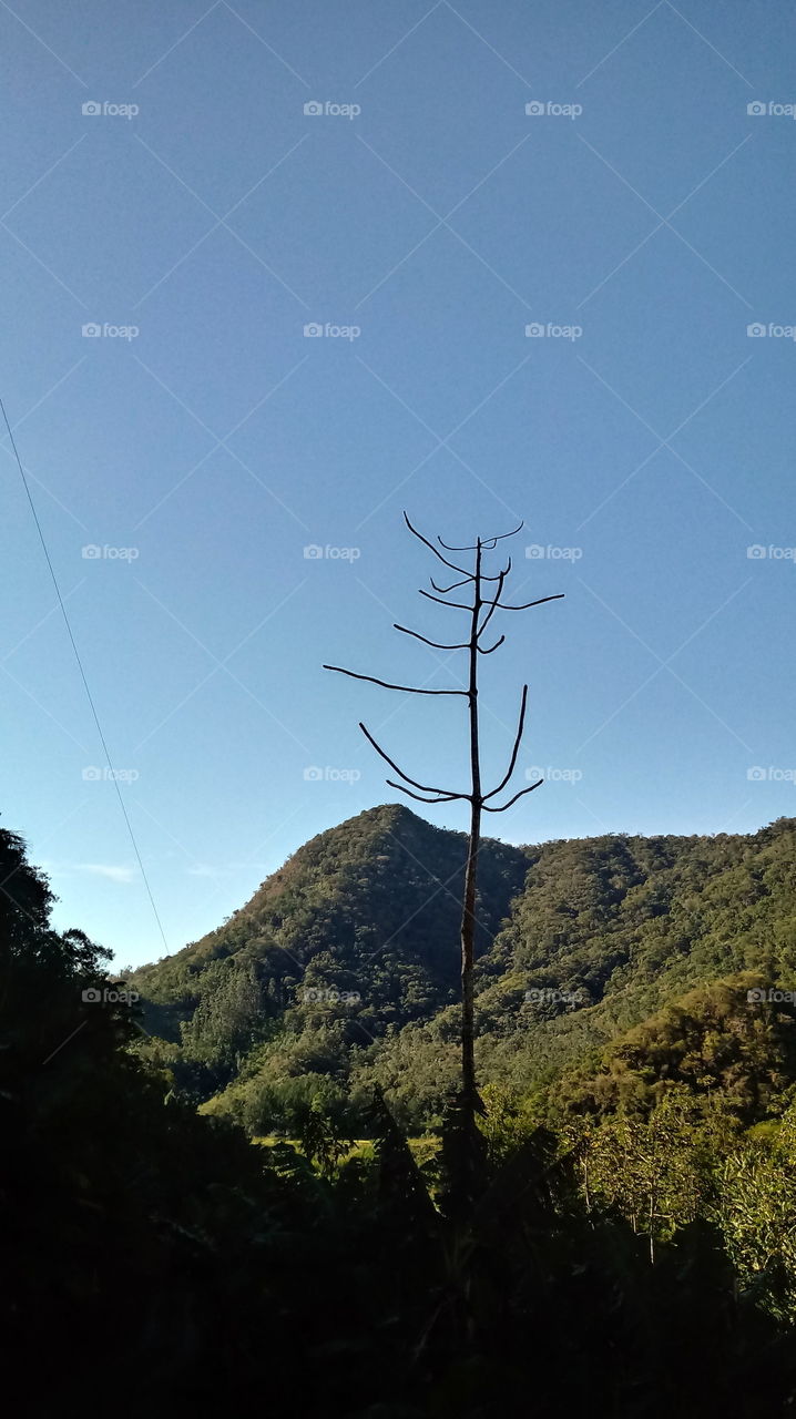 NATUR BERGE HIMMELBLAU