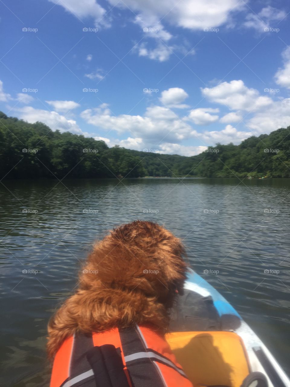 A pup and a kayak