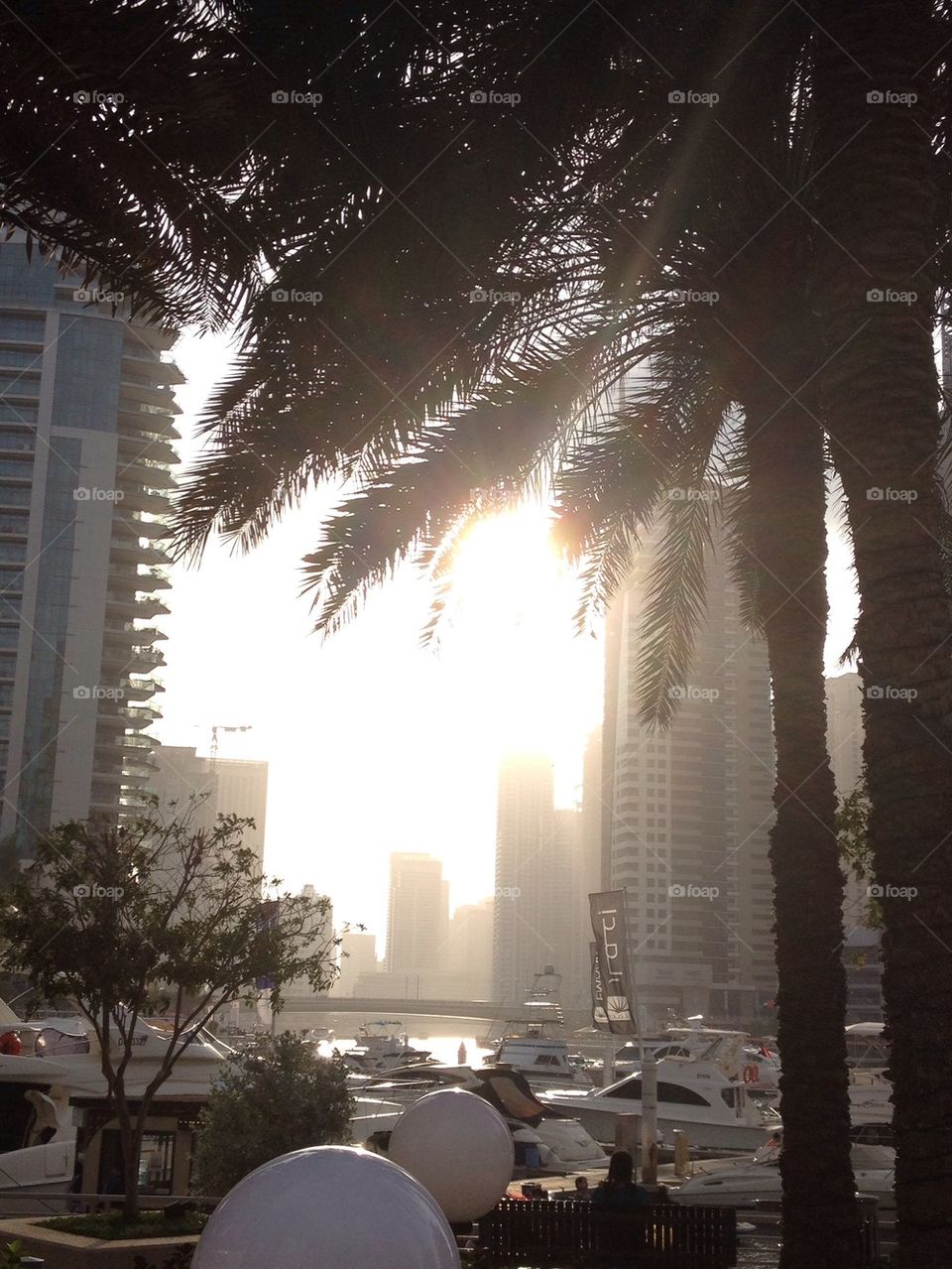 Dubai Marina