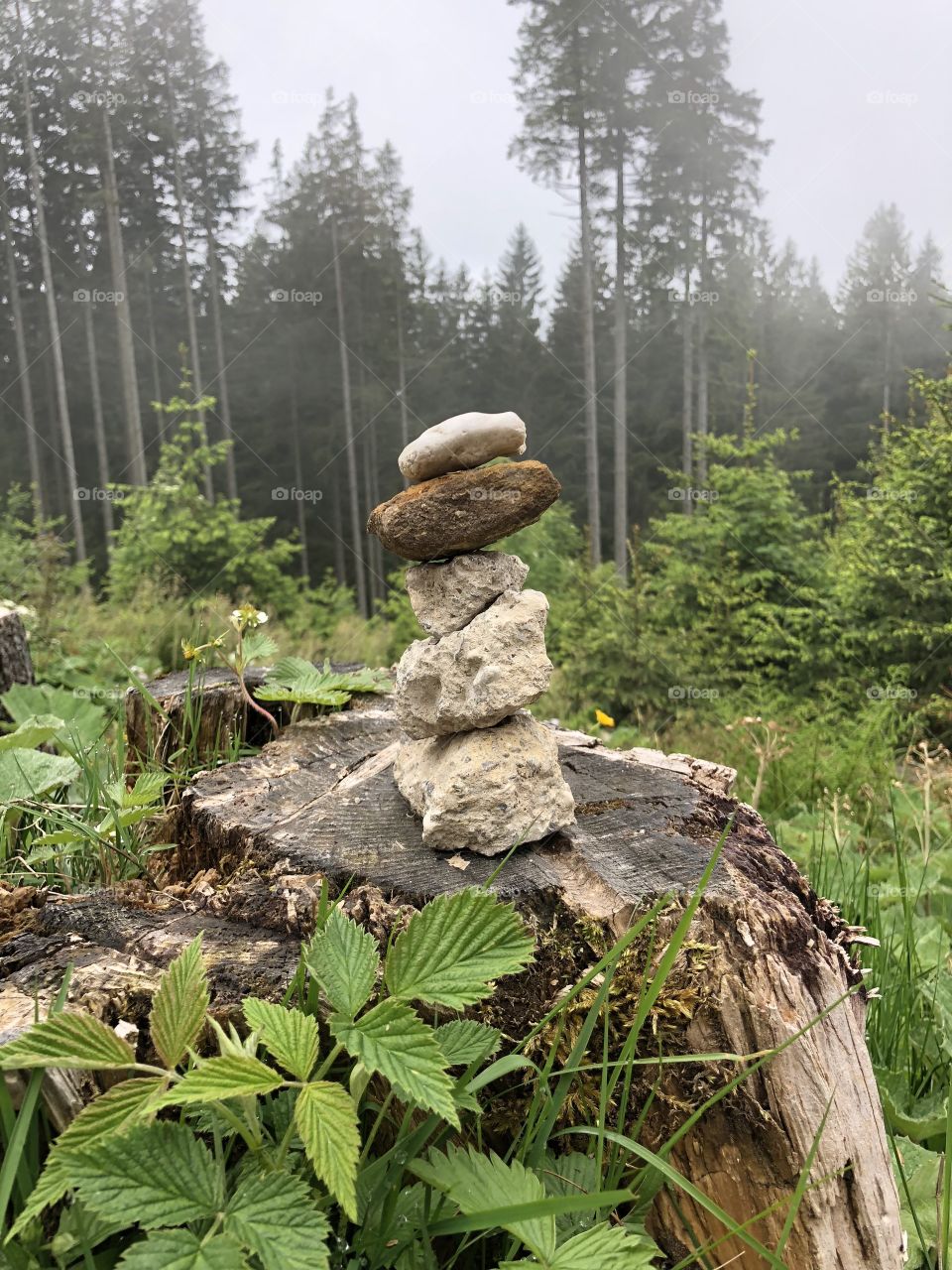 Steinturm im Wald auf Baumstumpf 