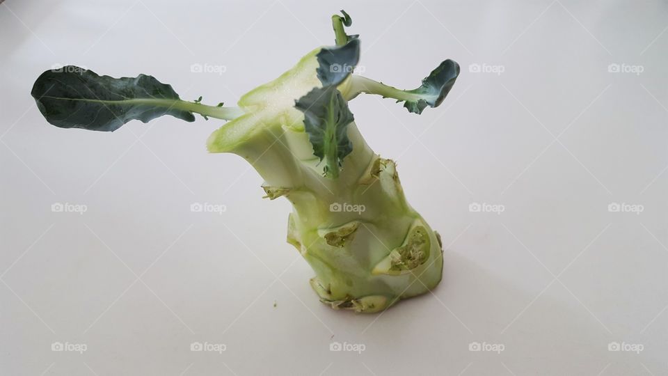 Broccoli on the kitchen table 2