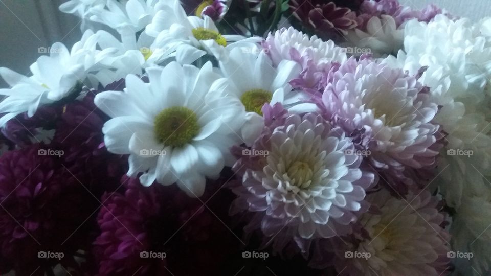 Flower, Floral, Flora, Bouquet, Nature