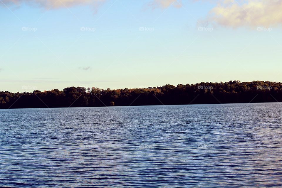 View from barbecue place.