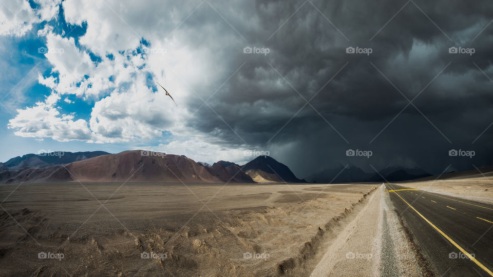 Alcón flying towards the storm, in the high plateau