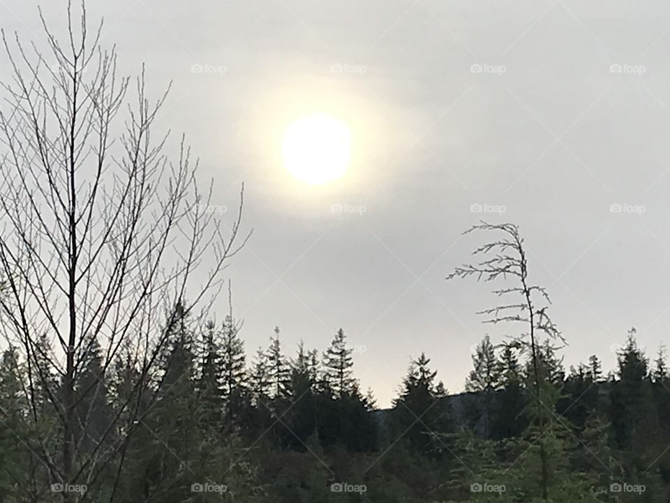Sun peeking through clouds