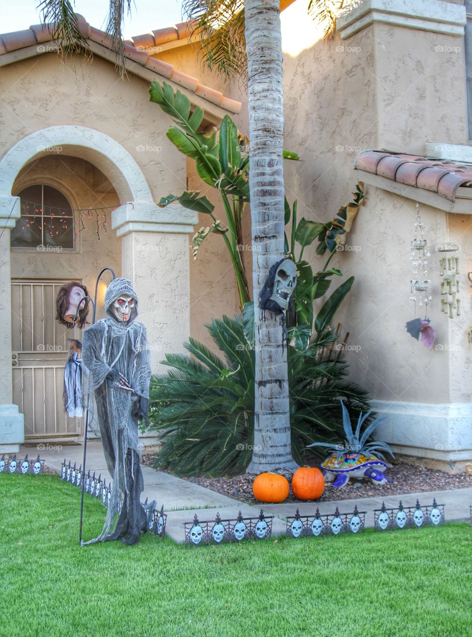 Halloween decorated yard 