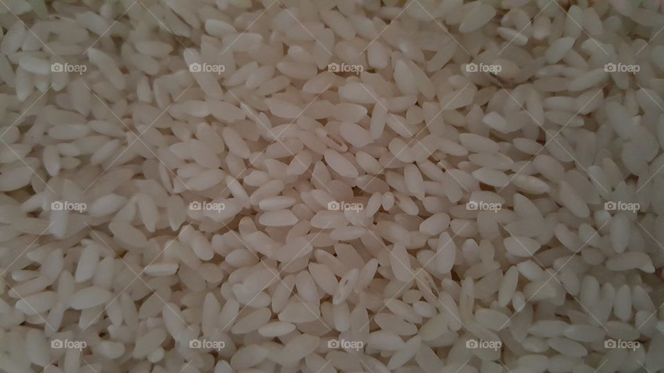 Rice grains