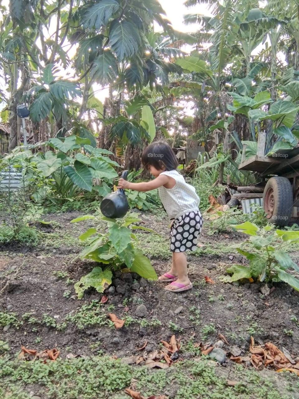 A kid’s chores