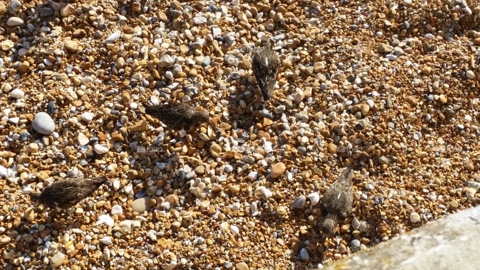 Nature, Stone, Texture, Sand, Rock