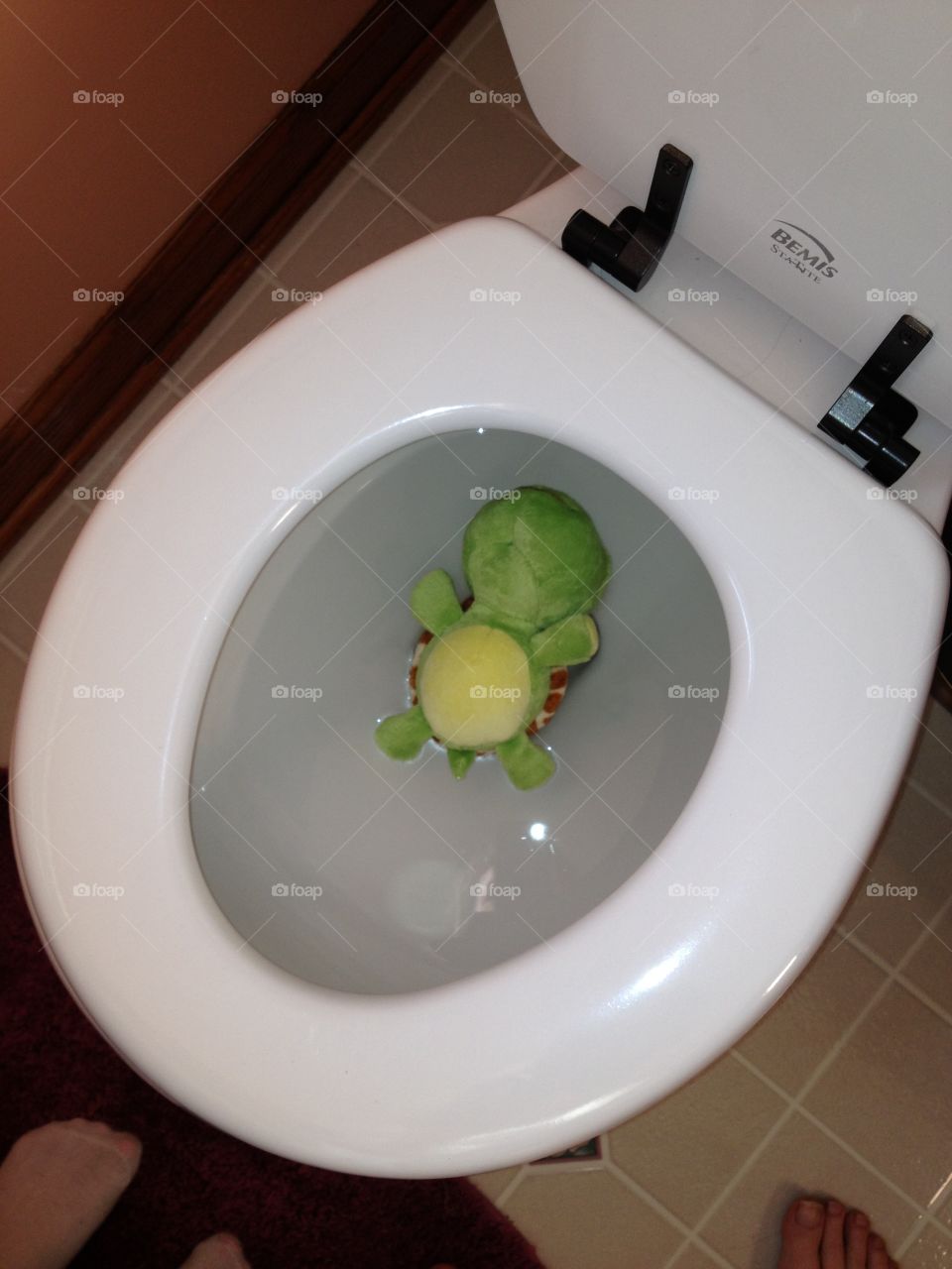 Stuffed turtle in the toilet
Life with kids
