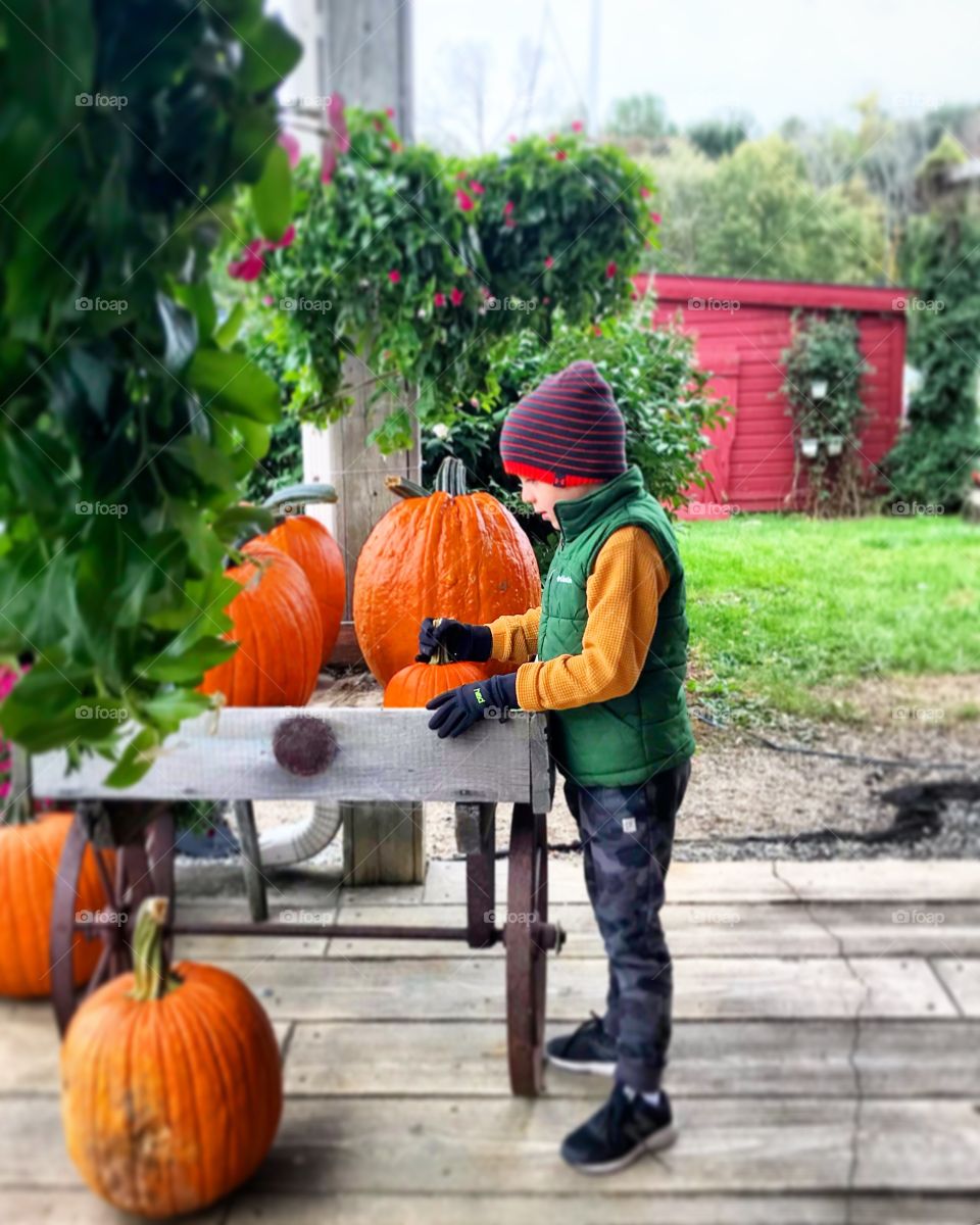 Pumpkin boy