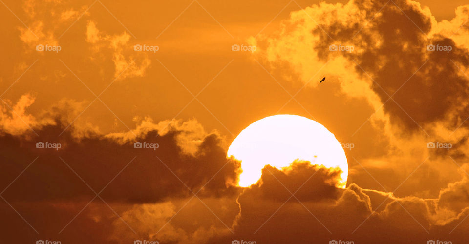 Travel around the world