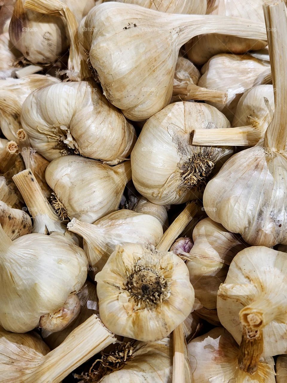 close up view of fresh white garlic cloves for sale in an Oregon market