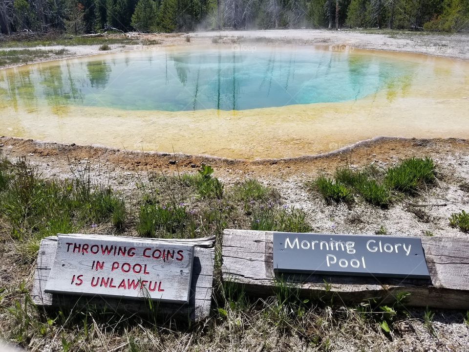 Yellowstone_Morning Glory Pool #1