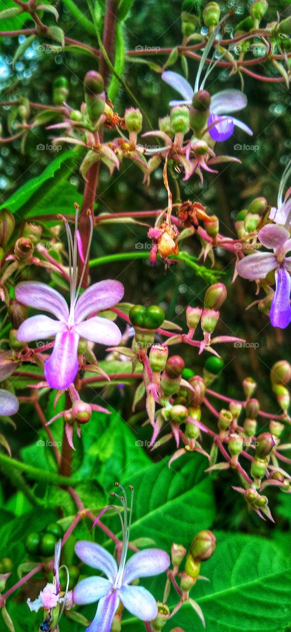 You are here only for a short stopover. Don't rush, don't worry. Rest assured that you inhale the scent of flowers along the way