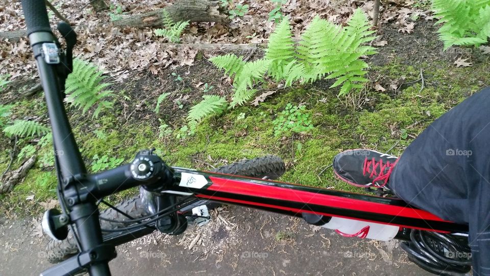 my feet on my bike next to amazing ferns