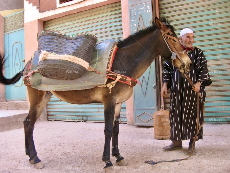 Old man and donkey