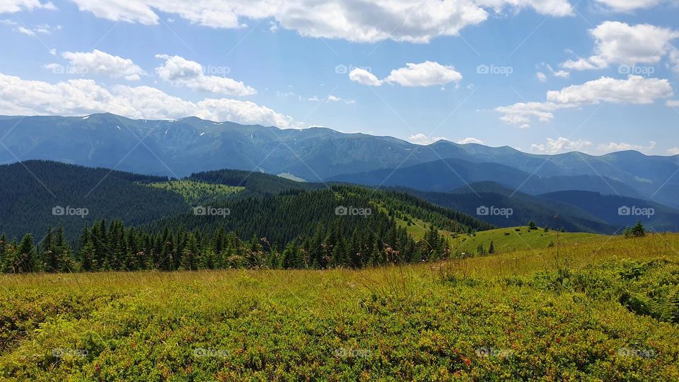 Summer mountain landscape
