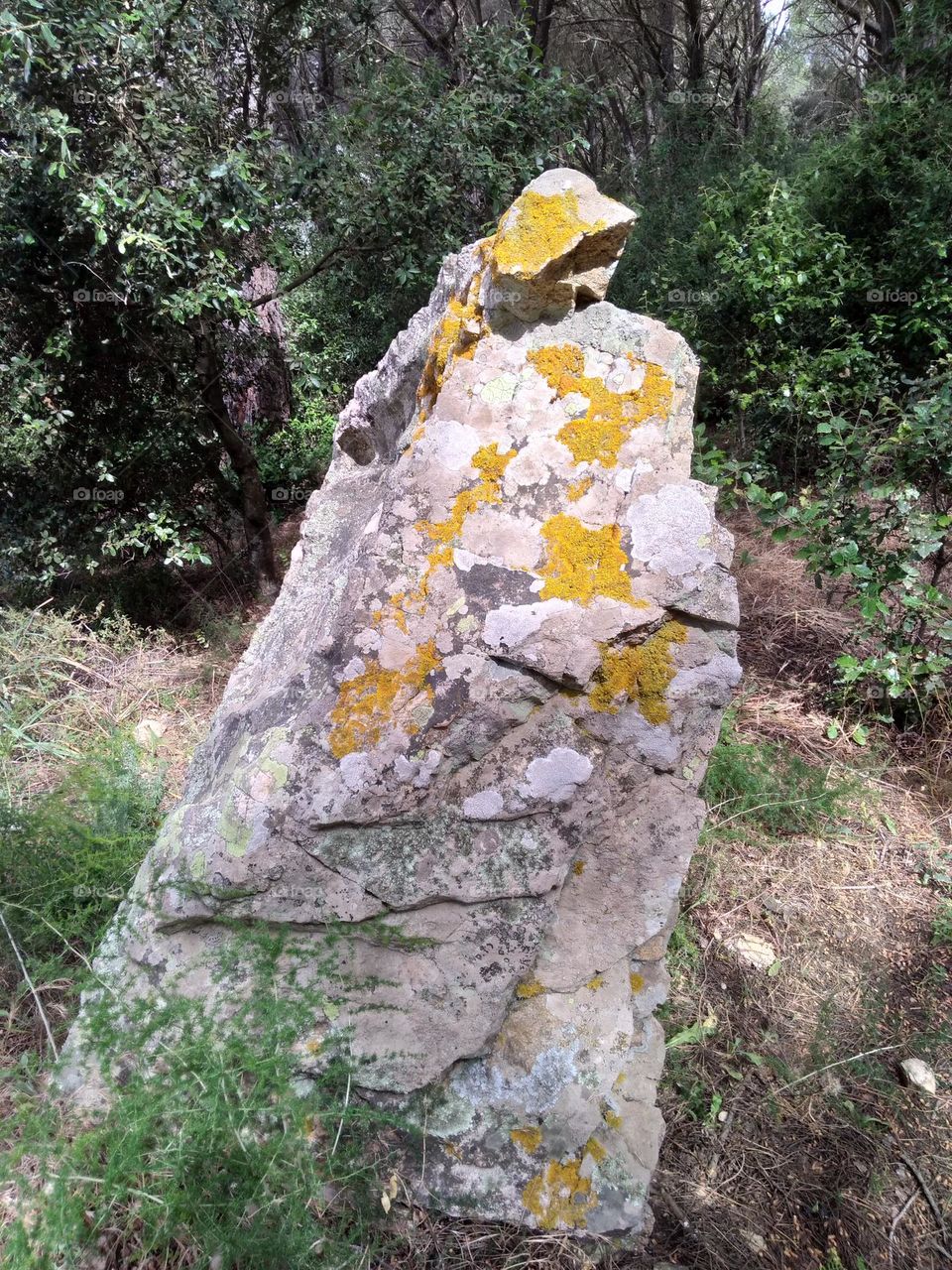 Editors' Choice - Photo of the Week