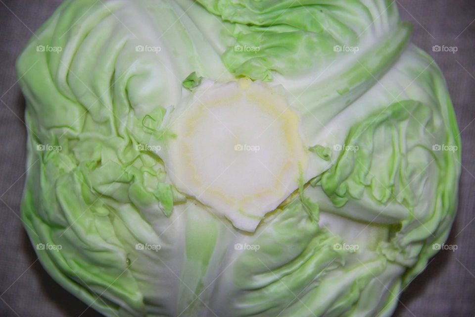 Cabbage