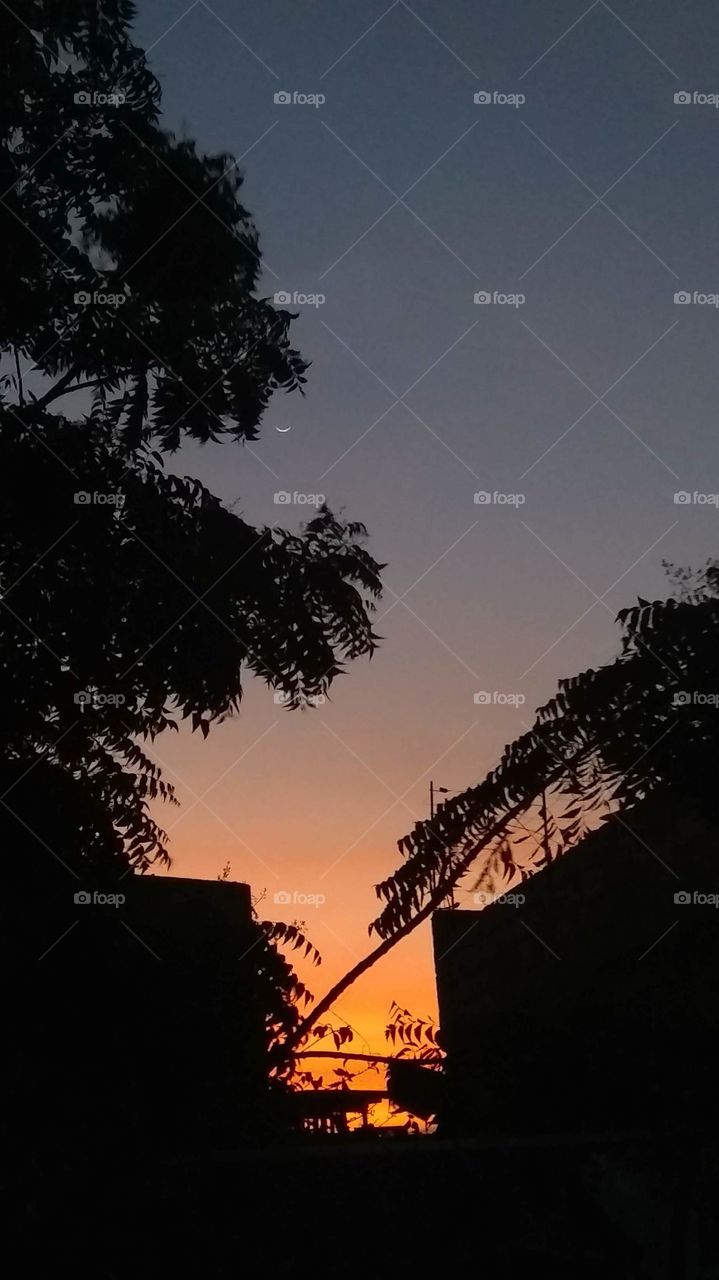 amazing sunset and the moon