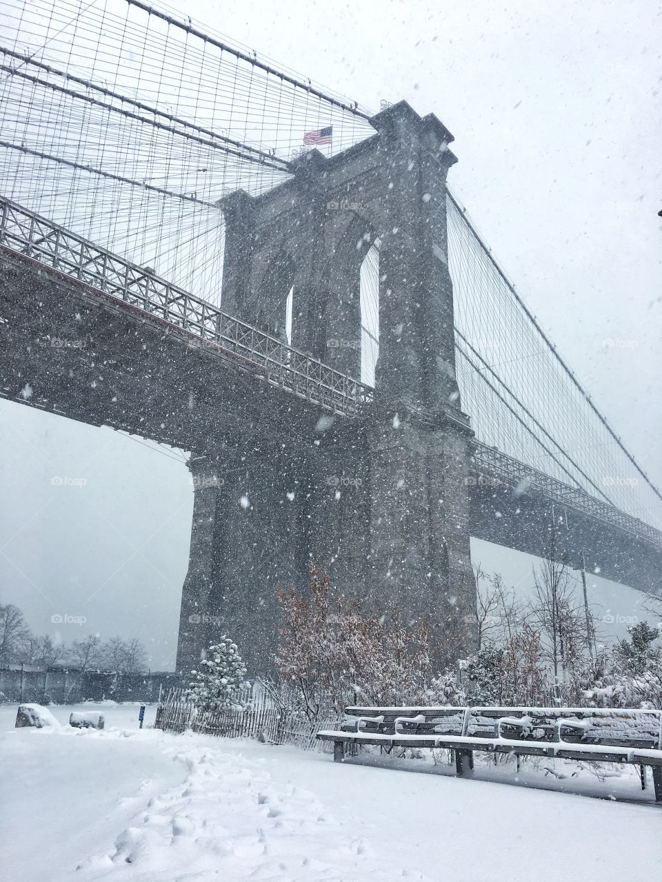 Snow in Brooklyn 