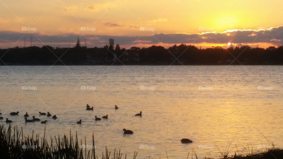 sunset over the lake. taken at the lake