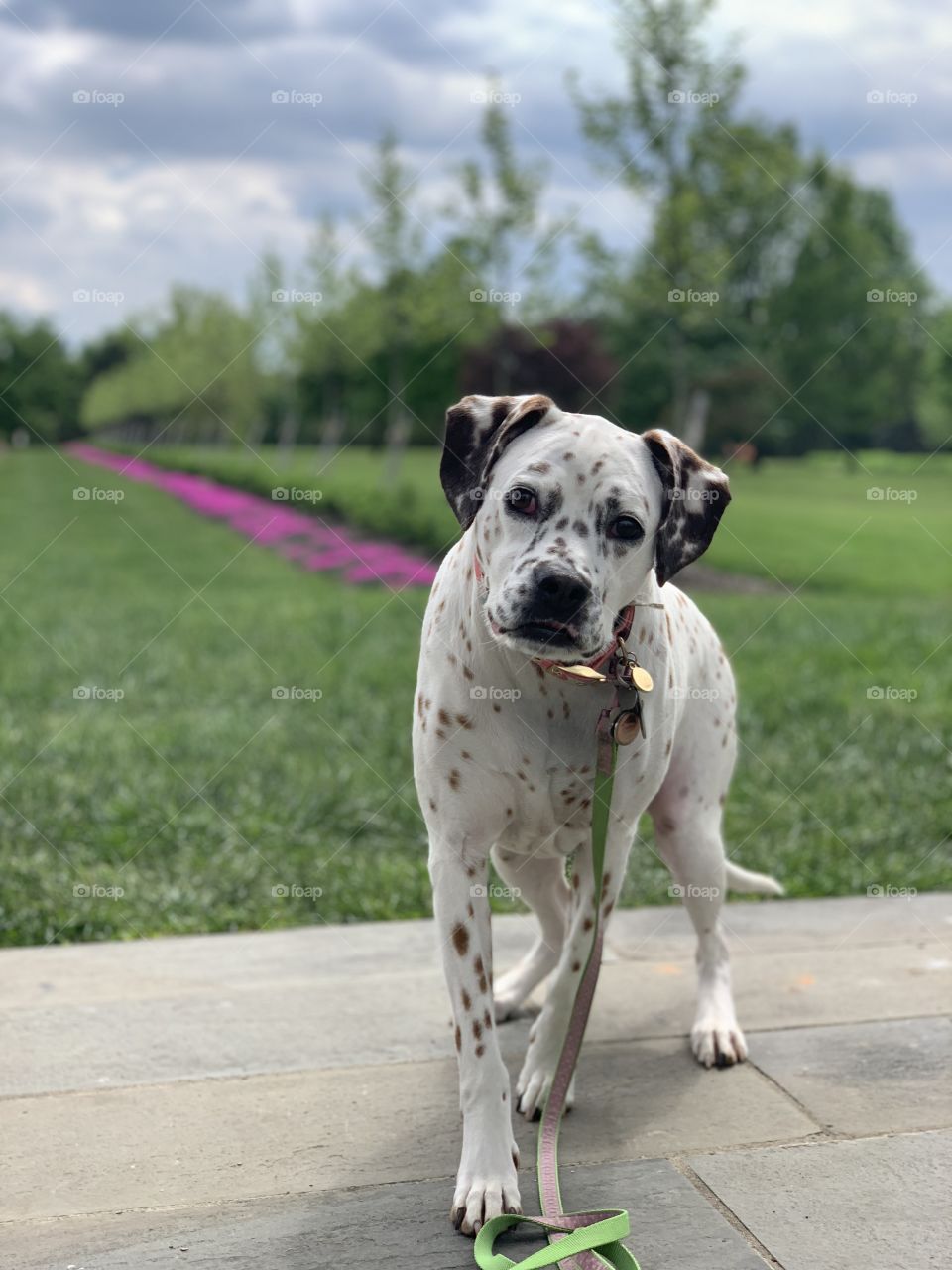 Exploring the outdoors 