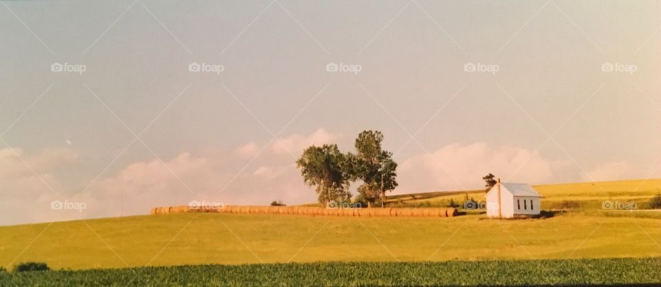 Agriculture, No Person, Farm, Field, Landscape